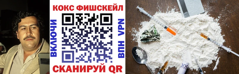 Кокаин FishScale  где купить наркоту  Родники 