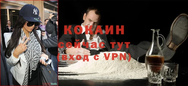ешки Алексин