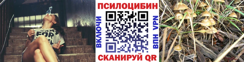 Псилоцибиновые грибы GOLDEN TEACHER  Родники 